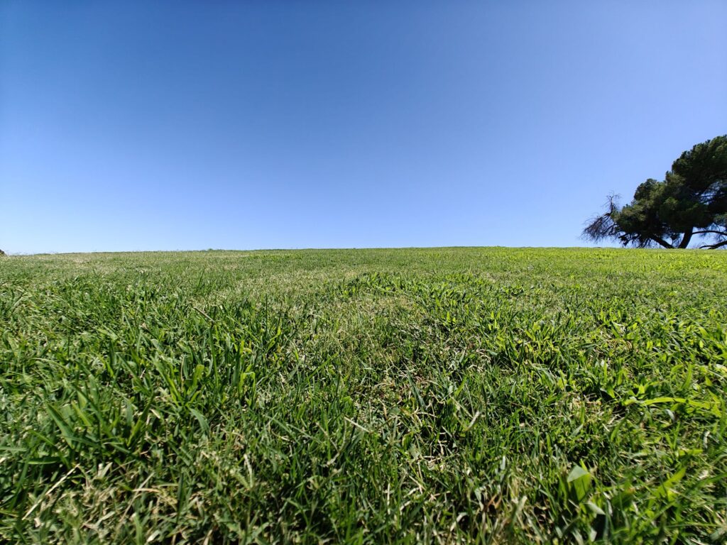 A hill park: Hyde Park