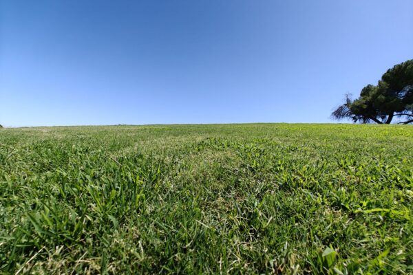 A hill park: Hyde Park